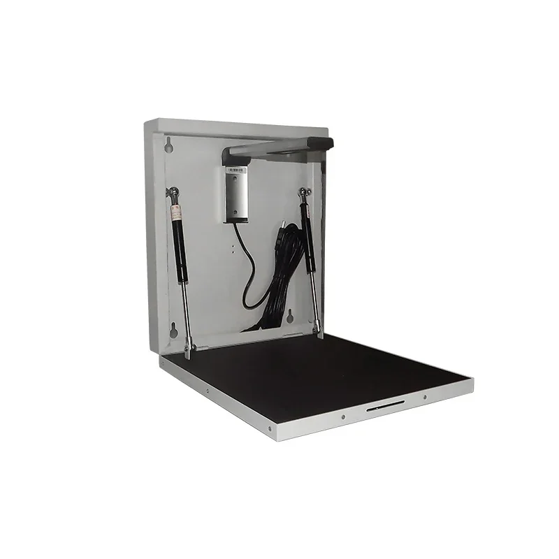 Visualizador Digital 2026, Pre - Document Camera Visualizer reseña y precio